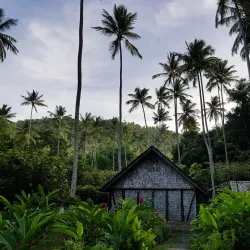 Morne Sion - Canaries