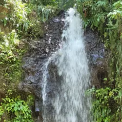 Soufriere Town - Canaries