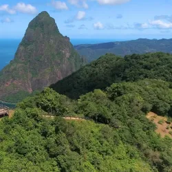Tet Paul Nature Trail - Canaries