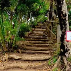 Tet Paul Nature Trail - Canaries