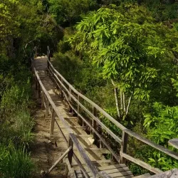 Tet Paul Nature Trail - Canaries