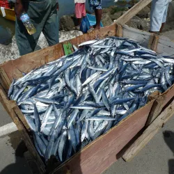 Castries Market - Castries