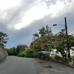 Castries Waterfront - Castries