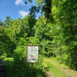 La Toc Battery - Castries