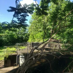 La Toc Battery - Castries