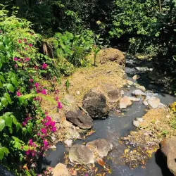 Diamond Falls Botanical Gardens - Choc