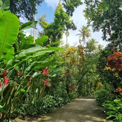 Diamond Falls Botanical Gardens - Choc