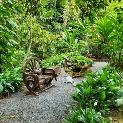 Diamond Falls Botanical Gardens - Choc