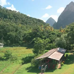 Morne Coubaril Estate - Choc