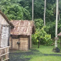 Morne Coubaril Estate - Choc