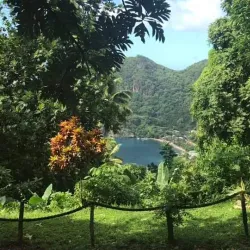 Morne Coubaril Estate - Choc