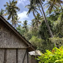 Morne Coubaril Estate - Choc