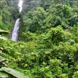 Morne Trois Pitons National Park - Choc