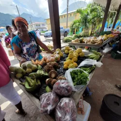 Soufrière Market - Choc