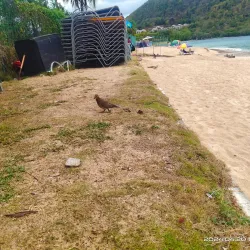 Reduit Beach - Gros Islet