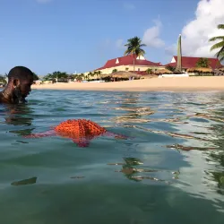 Reduit Beach - Gros Islet
