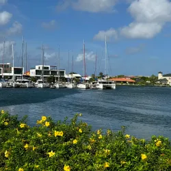 Rodney Bay Marina - Gros Islet