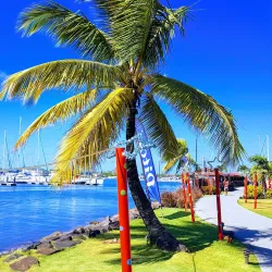 Rodney Bay Marina - Gros Islet