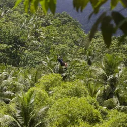 Treetop Adventure Park - Gros Islet