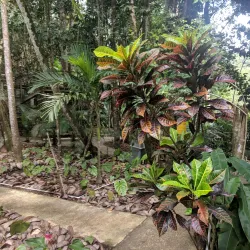 Treetop Adventure Park - Gros Islet