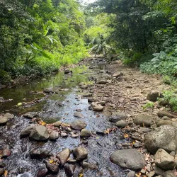 Treetop Adventure Park - Gros Islet