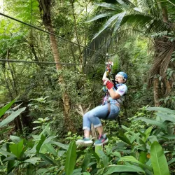 Treetop Adventure Park - Gros Islet