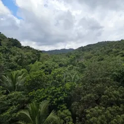 Treetop Adventure Park - Gros Islet