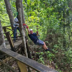 Treetop Adventure Park - Gros Islet