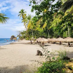 Anse Ger Beach - Micoud