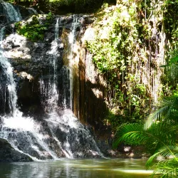 Desruisseaux Waterfall - Micoud
