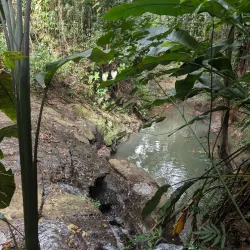 Desruisseaux Waterfall - Micoud