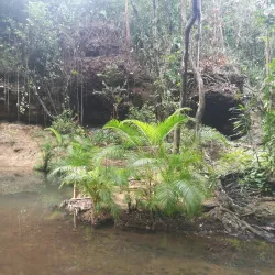 Desruisseaux Waterfall - Micoud