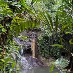 Desruisseaux Waterfall - Micoud