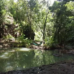 Desruisseaux Waterfall - Micoud