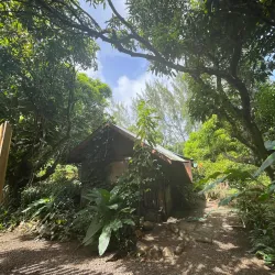 Desruisseaux Waterfall - Micoud