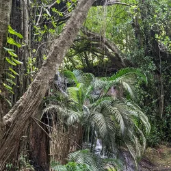 Desruisseaux Waterfall - Micoud