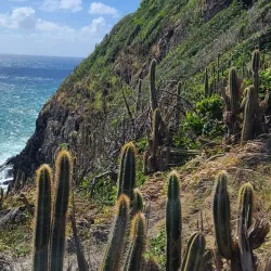 Maria Islands Nature Reserve - Micoud