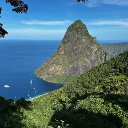 Rainforest Hiking Trails - Micoud