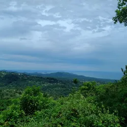 Rainforest Hiking Trails - Micoud