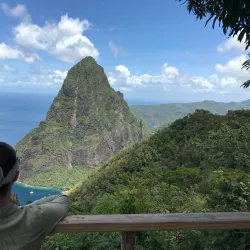 Rainforest Hiking Trails - Micoud