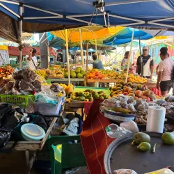 Castries Market - Rodney Bay