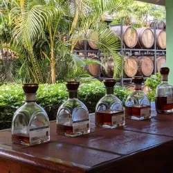 Saint Lucia Distillers - Rodney Bay