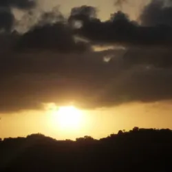 Arnos Vale Market - Arnos Vale