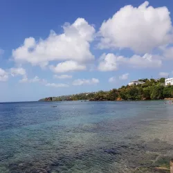 Arnos Vale Market - Arnos Vale