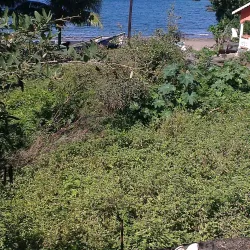 Arnos Vale Market - Arnos Vale