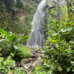 Dark View Falls - Arnos Vale