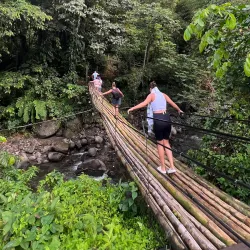 Dark View Falls - Arnos Vale