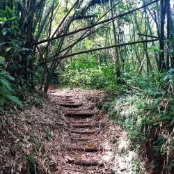 La Soufrière Volcano - Arnos Vale