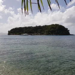 Young Island - Arnos Vale