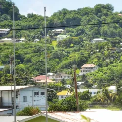 Young Island - Arnos Vale